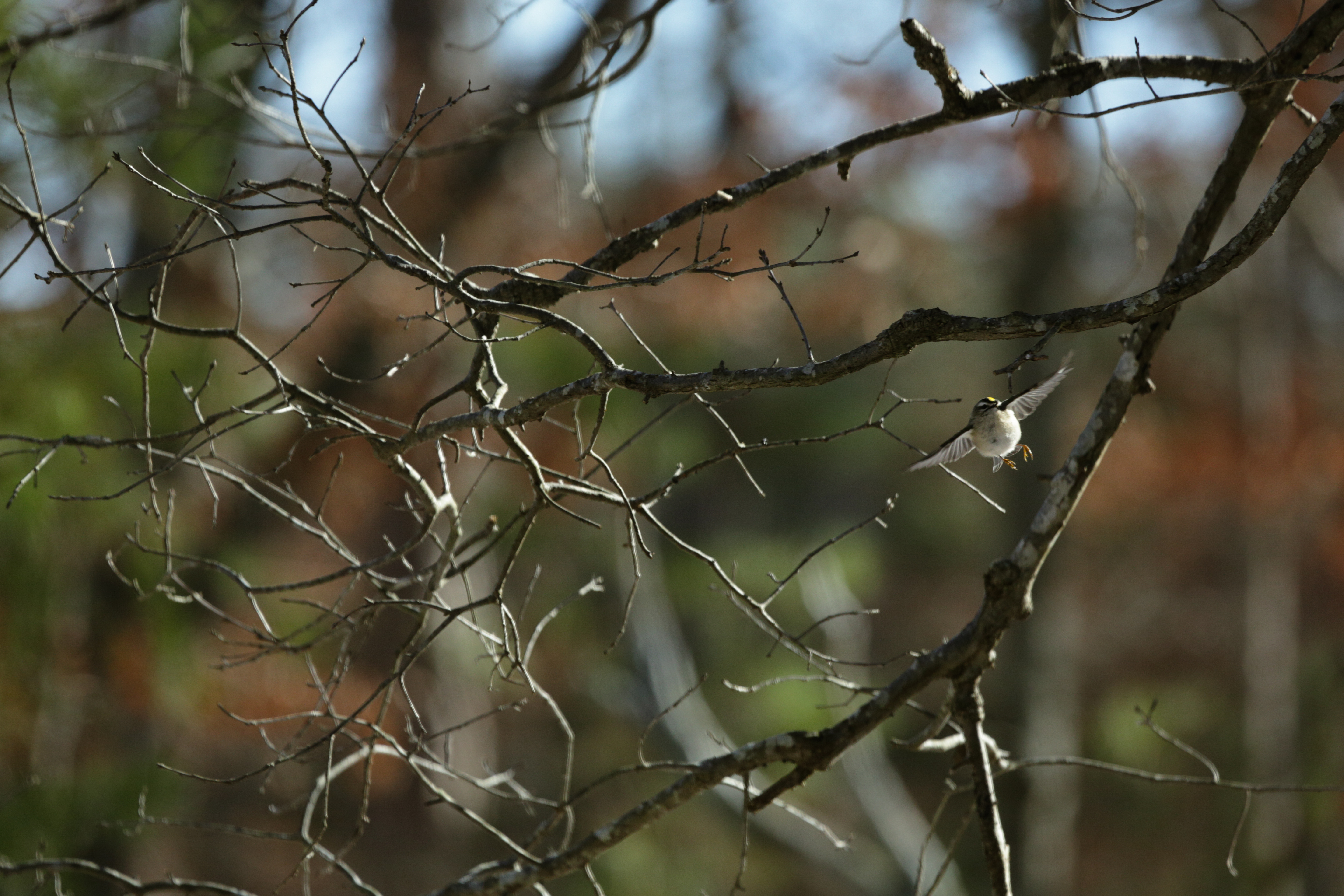 Example Image 3