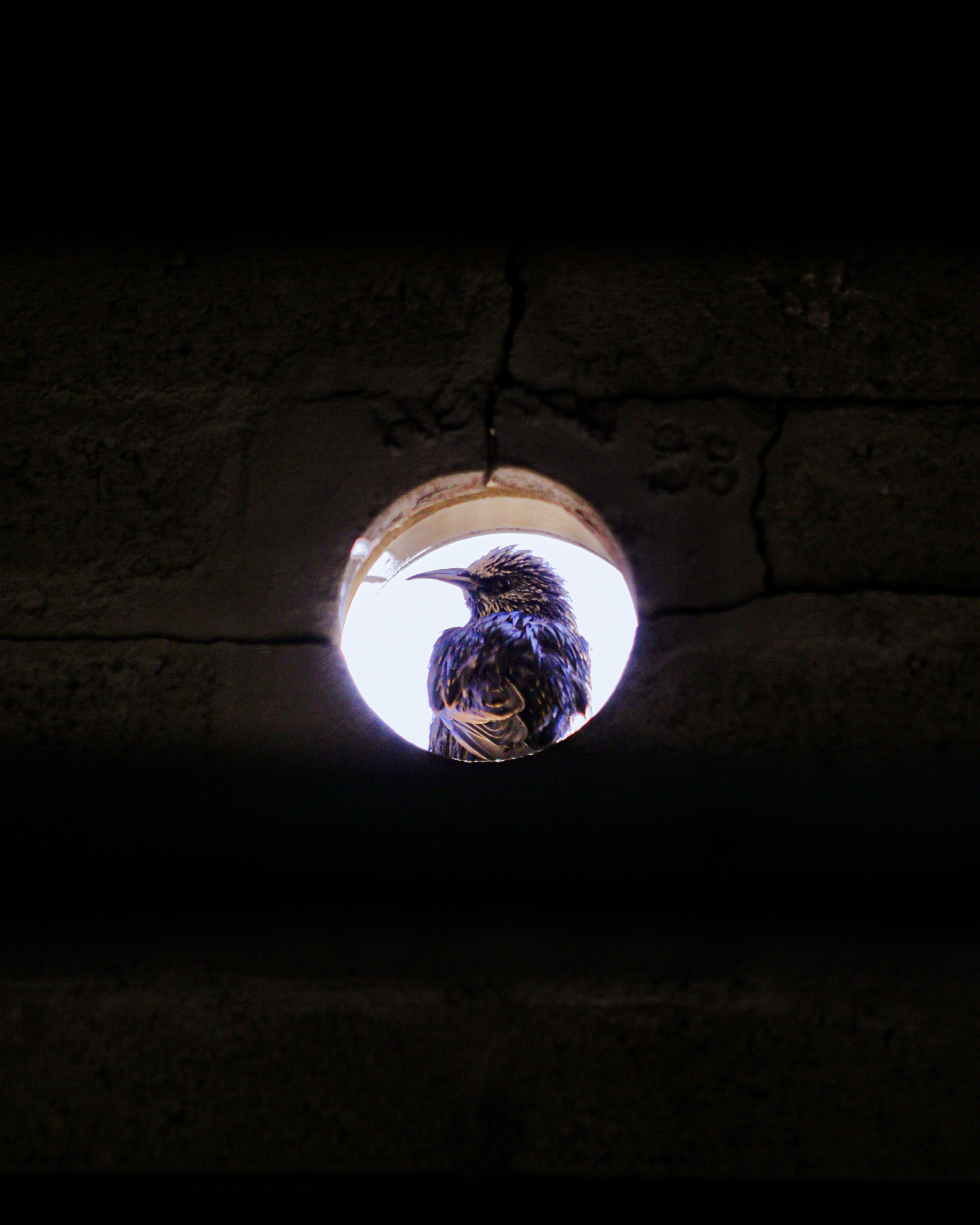 Gallery 2 Image 8